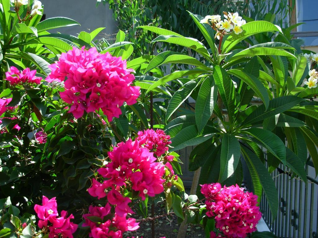 Callista Sea View Or Garden Kissamos Phòng bức ảnh